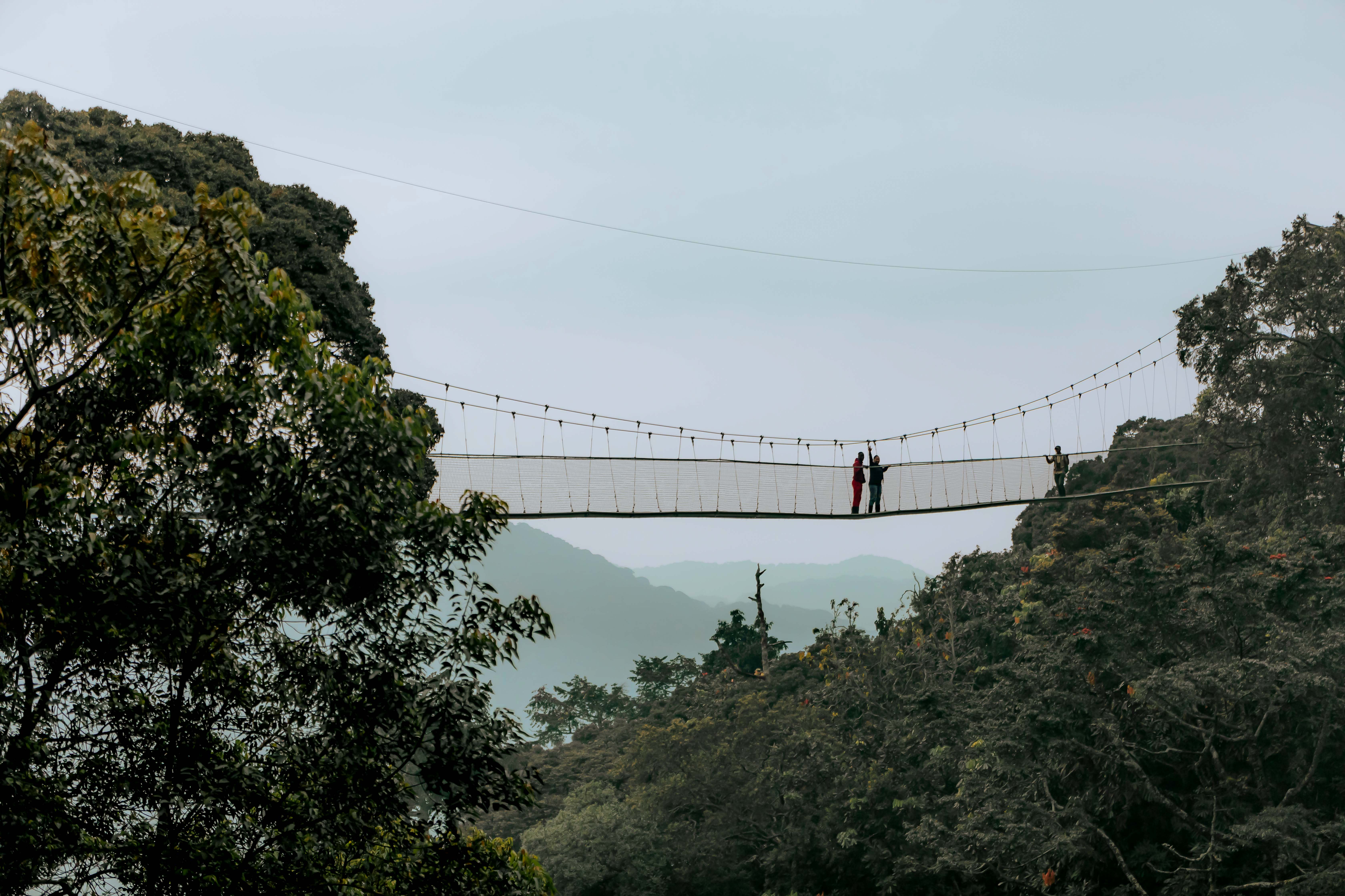 Nyungwe National Park